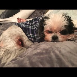 Meet your Posher, Amy